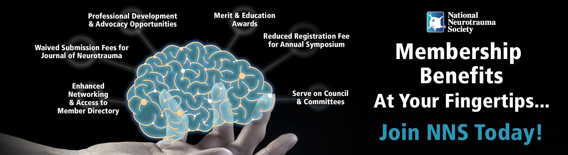 NNS Membership Web Banner 0227A