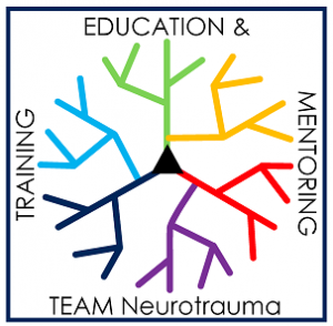 TEAM logo 300x294