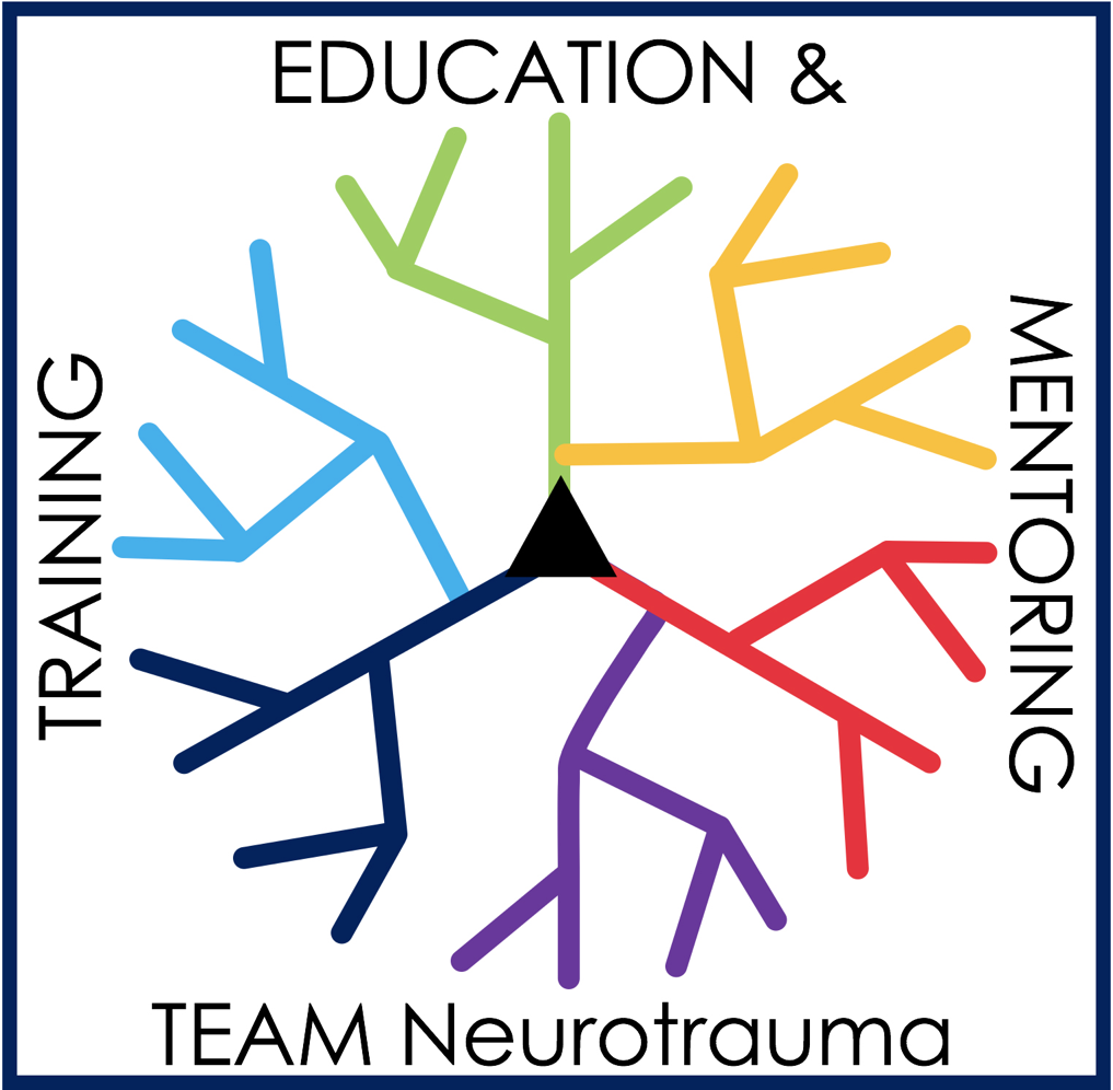 NNS TEAM LOGO