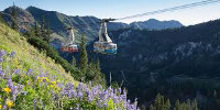 Aerial tram summer