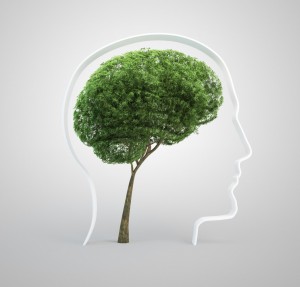 Tree Brain image