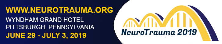 NNS2019 web banner