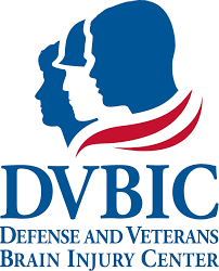 DVBIC